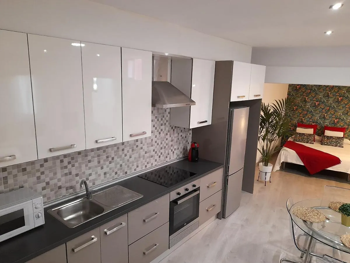 Apartamento La Crucillada La Guancha 0*,