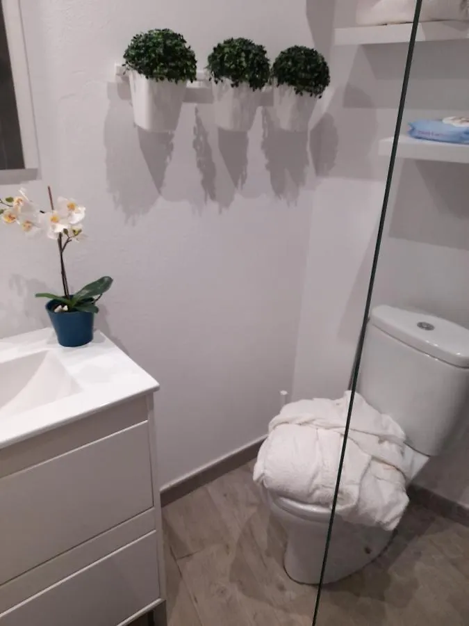 Apartamento La Crucillada La Guancha 0*,